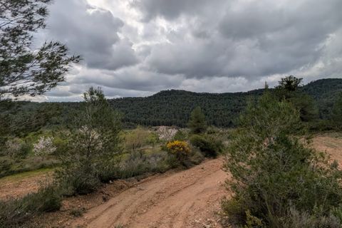 Finca a Caseres, Tarragona, Caseres - € 12.000 | Ref: Wca - foto 2