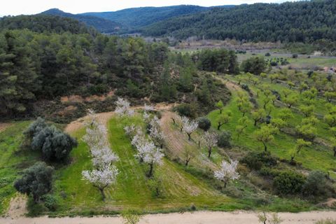 Finca a Caseres, Tarragona, Caseres - € 12.000 | Ref: Wca - foto 7