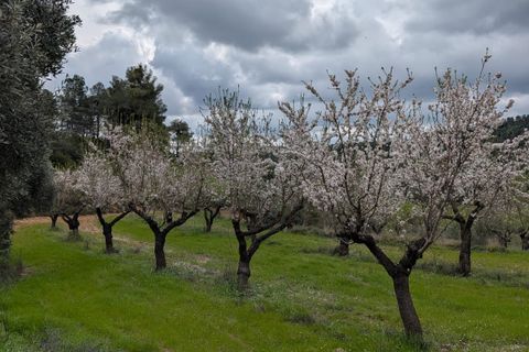 Finca a Caseres, Tarragona, Caseres - € 12.000 | Ref: Wca - foto 6