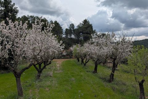 Finca a Caseres, Tarragona, Caseres - € 12.000 | Ref: Wca - foto 9