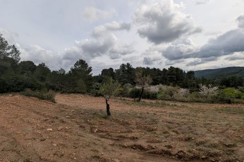 Finca a Caseres, Tarragona, Caseres - € 12.000 | Ref: Wca - foto 11