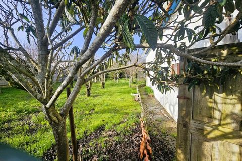 Villa i Santa Barbara, Lisbon, Santa Barbara - € 500.000 | Ref: AF001-26 - foto 39