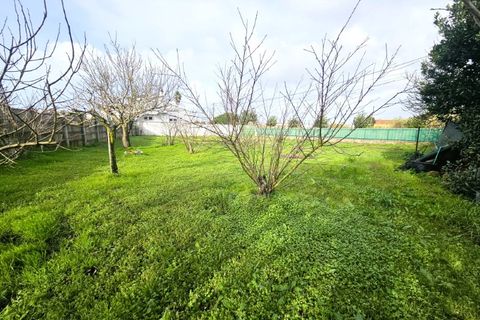 Villa i Santa Barbara, Lisbon, Santa Barbara - € 500.000 | Ref: AF001-26 - foto 40