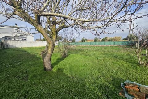Villa i Santa Barbara, Lisbon, Santa Barbara - € 500.000 | Ref: AF001-26 - foto 41