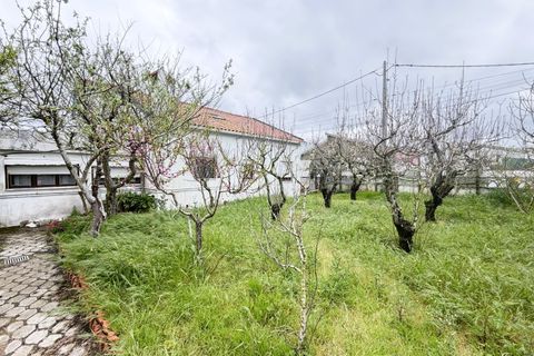 Villa i Santa Barbara, Lisbon, Santa Barbara - € 500.000 | Ref: AF001-26 - foto 46