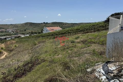 Helårsgrund i Torres Vedras, Lisbon, Torres Vedras - € 80.000 | Ref: MF001-24 - foto 5