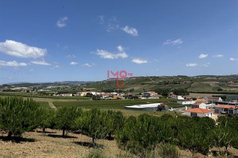 Helårsgrund i Torres Vedras, Lisbon, Torres Vedras - € 80.000 | Ref: MF001-24 - foto 9
