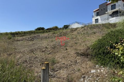 Helårsgrund i Torres Vedras, Lisbon, Torres Vedras - € 80.000 | Ref: MF001-24 - foto 10