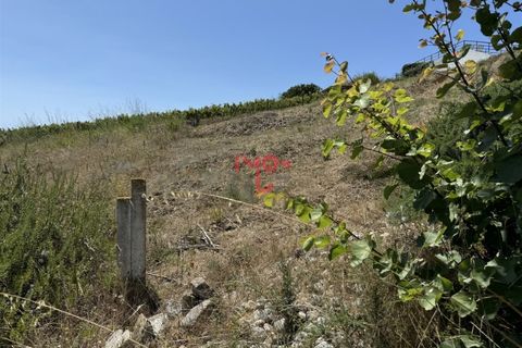 Helårsgrund i Torres Vedras, Lisbon, Torres Vedras - € 80.000 | Ref: MF001-24 - foto 11