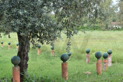 Villa i Monfortinho e Salvaterra do Extremo, Castelo Branco, Monfortinho e Salvaterra do Extremo - € 490.000 | Ref: KWPT-028872 - foto 45