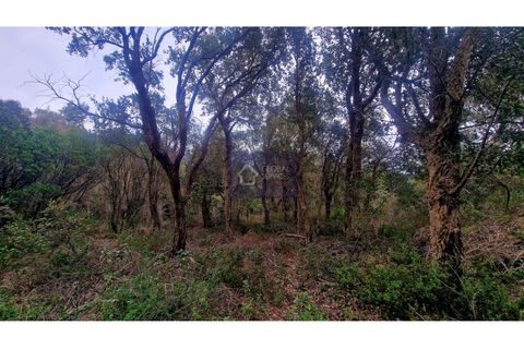 Helårsgrund i Monchique, Faro, Monchique - € 160.000 | Ref: GS17711GC - foto 7