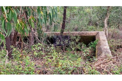 Helårsgrund i Monchique, Faro, Monchique - € 160.000 | Ref: GS17711GC - foto 8