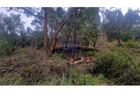 Helårsgrund i Monchique, Faro, Monchique - € 160.000 | Ref: GS17711GC - foto 10