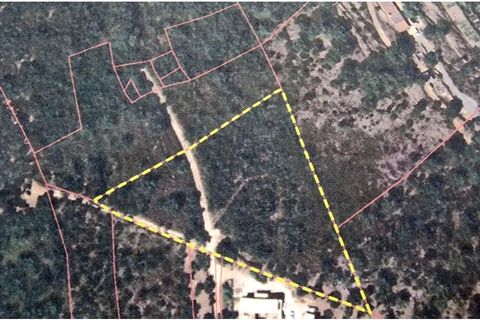 Helårsgrund i Monchique, Faro, Monchique - € 160.000 | Ref: GS17711GC - foto 13