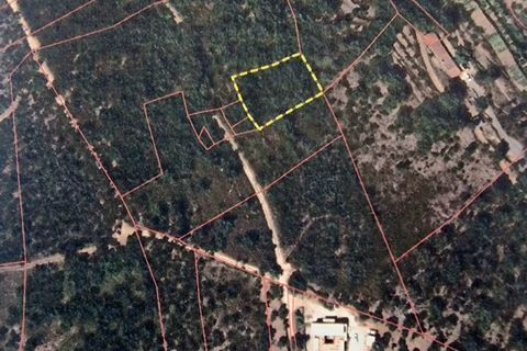 Helårsgrund i Monchique, Faro, Monchique - € 160.000 | Ref: GS17711GC - foto 14