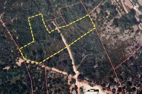 Helårsgrund i Monchique, Faro, Monchique - € 160.000 | Ref: GS17711GC - foto 15