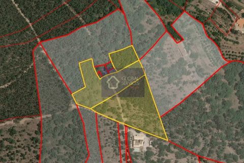 Helårsgrund i Monchique, Faro, Monchique - € 160.000 | Ref: GS17711GC - foto 12
