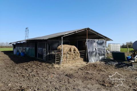 Farm i La Capelle, Aisne, La Capelle - € 198.000 | Ref: 107_MGVFE1210008641 - foto 26