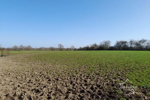Farm i La Capelle, Aisne, La Capelle - € 198.000 | Ref: 107_MGVFE1210008641 - foto 28