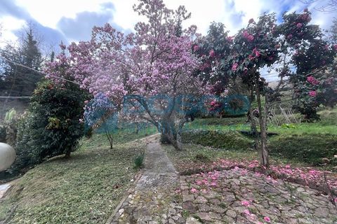 Villa i Follo, La Spezia, Follo - € 219.000 | Ref: 206 - foto 6