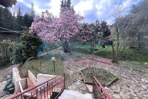 Villa i Follo, La Spezia, Follo - € 219.000 | Ref: 206 - foto 10