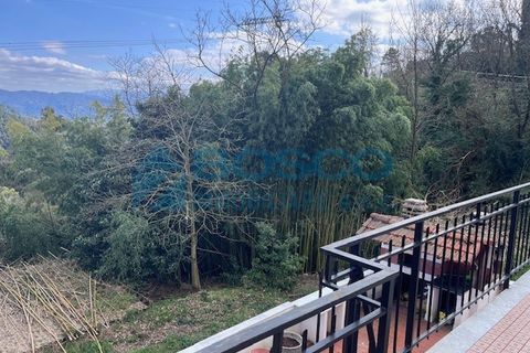 Villa i Follo, La Spezia, Follo - € 219.000 | Ref: 206 - foto 19
