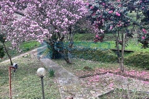 Villa i Follo, La Spezia, Follo - € 219.000 | Ref: 206 - foto 31
