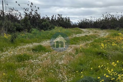 Helårsgrund i Castro Marim, Faro, Castro Marim - € 250.000 | Ref: TER_841 - foto 4
