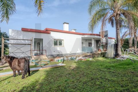 Villa i Palmela, Setubal, Palmela - € 1.500.000 | Ref: KWPT-015872 - foto 19