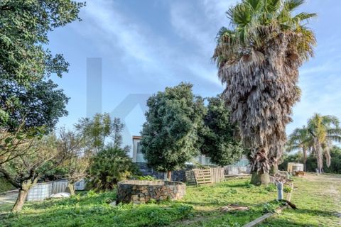 Villa i Palmela, Setubal, Palmela - € 1.500.000 | Ref: KWPT-015872 - foto 20