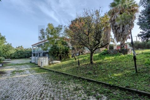 Villa i Palmela, Setubal, Palmela - € 1.500.000 | Ref: KWPT-015872 - foto 21