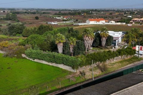 Villa i Palmela, Setubal, Palmela - € 1.500.000 | Ref: KWPT-015872 - foto 26