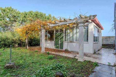 Villa i Palmela, Setubal, Palmela - € 1.500.000 | Ref: KWPT-015872 - foto 25