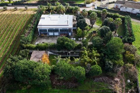 Villa i Palmela, Setubal, Palmela - € 1.500.000 | Ref: KWPT-015872 - foto 27