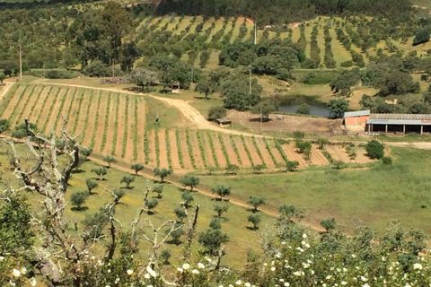 Farm hus i Odemira, Beja, Odemira - € 599.000 | Ref: C0246-03484 - foto 2