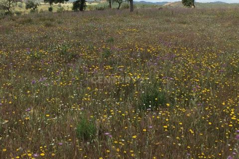 Farm hus i Odemira, Beja, Odemira - € 599.000 | Ref: C0246-03484 - foto 3
