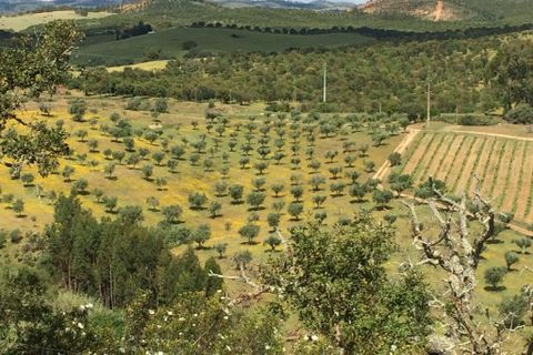 Farm hus i Odemira, Beja, Odemira - € 599.000 | Ref: C0246-03484 - foto 5