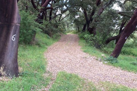 Farm hus i Odemira, Beja, Odemira - € 599.000 | Ref: C0246-03484 - foto 7