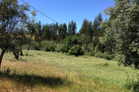Farm hus i Odemira, Beja, Odemira - € 599.000 | Ref: C0246-03484 - foto 10