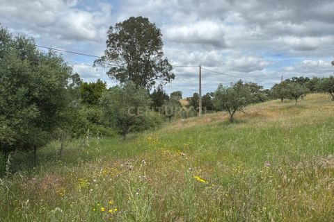 Farm hus i Odemira, Beja, Odemira - € 599.000 | Ref: C0246-03484 - foto 14