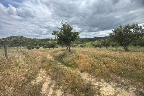 Farm hus i Odemira, Beja, Odemira - € 599.000 | Ref: C0246-03484 - foto 15