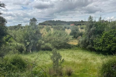 Farm hus i Odemira, Beja, Odemira - € 599.000 | Ref: C0246-03484 - foto 16