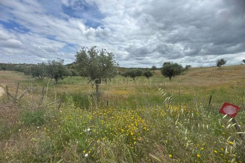 Farm hus i Odemira, Beja, Odemira - € 599.000 | Ref: C0246-03484 - foto 17