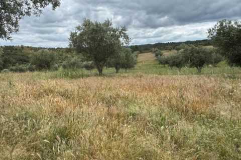 Farm hus i Odemira, Beja, Odemira - € 599.000 | Ref: C0246-03484 - foto 27