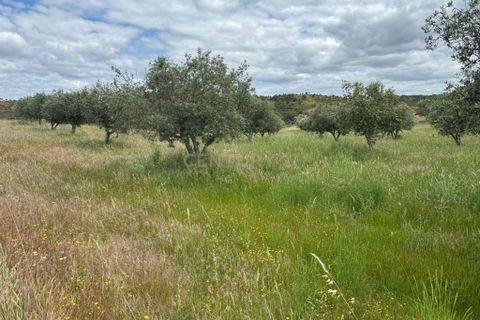 Farm hus i Odemira, Beja, Odemira - € 599.000 | Ref: C0246-03484 - foto 28