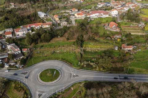Terra a Sandim, Porto, Sandim - € 650.000 | Ref: C0510-00562 - foto 7