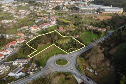 Terra a Sandim, Porto, Sandim - € 650.000 | Ref: C0510-00562 - foto 10