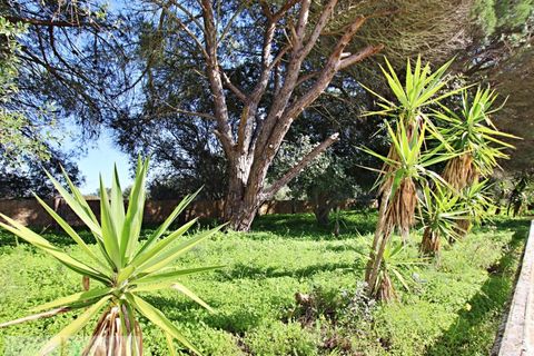 Villa a Bensafrim, Faro, Bensafrim - € 625.000 | Ref: V021 - foto 45