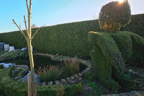 Villa a Bapaume, Pas-de-Calais, Bapaume - € 186.000 | Ref: CA403261F - foto 13