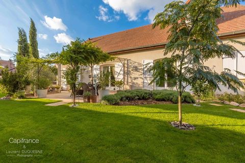 Villa a Bellefond, Cote-d'Or, Bellefond - € 485.000 | Ref: 340937347727 - foto 3